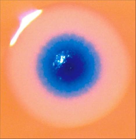 Scientist Create Synthetic Life From Gentic Code