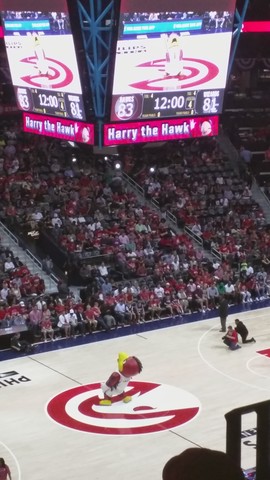 My First Basketball Game