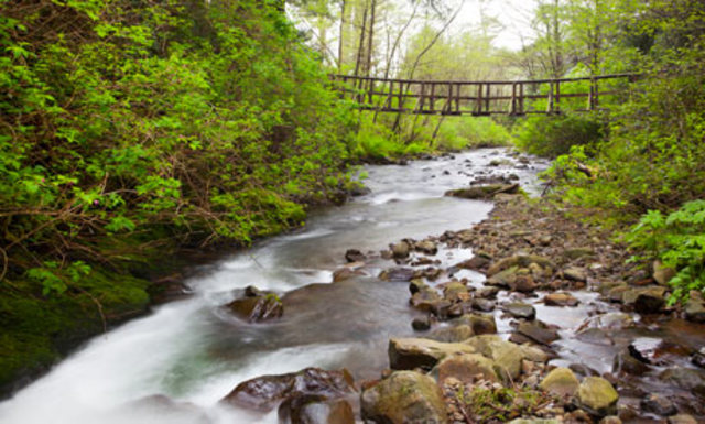 DAY THREE: Ecola Creek
