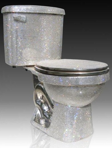 The most expensive toilet