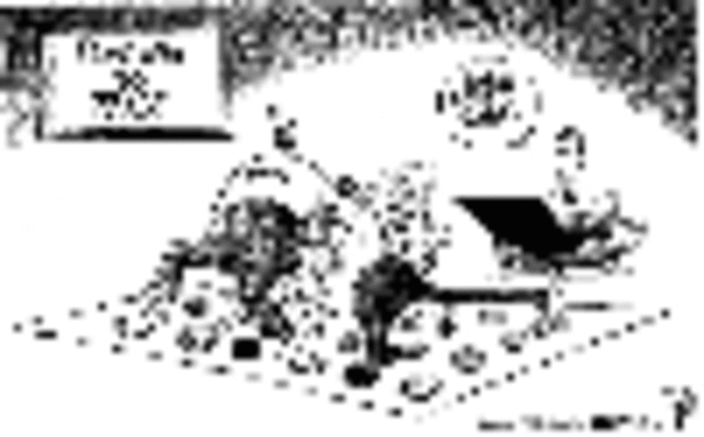 The 1982 Lebanon War