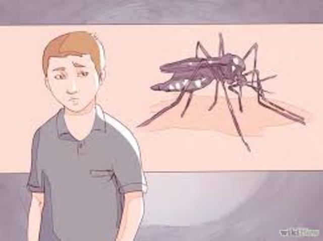 Cuarto broté en Italia