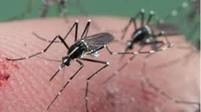 Confirmacion de brote en Italia