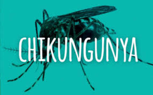 Octavo brote se produjo en en Sant Marten.