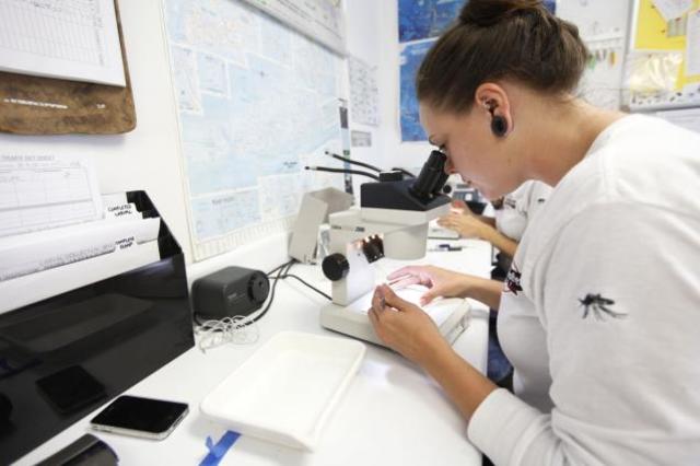 Salvador, confirmó 181 casos sospechosos del virus.