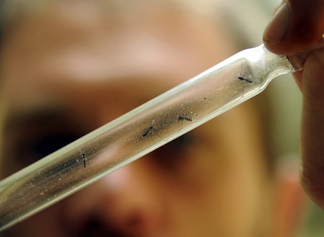 en Cuba fueron detectados varios casos