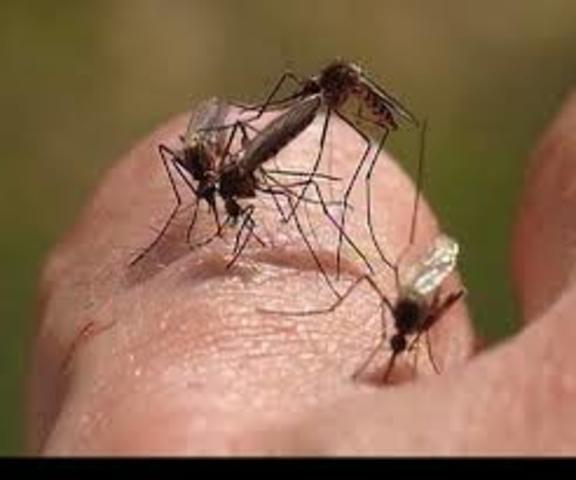 Reporte de autoridades