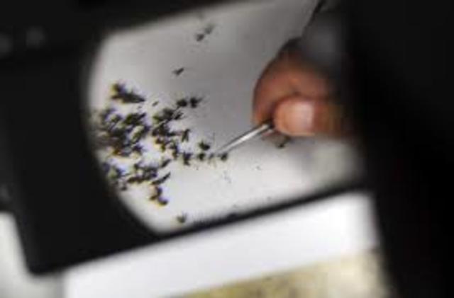 en Lima, Perú se detectaron 2 casos