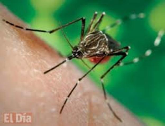 Organizaciones de salud