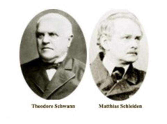 Theodor Schwann y Matthias Schleiden