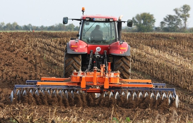 Netejar el sol de les males herbes