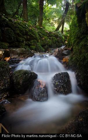 Protesta contra o encauce do río