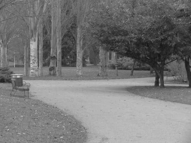 Multas por 20.000 euros a los vecinos que salvaron los árboles en Sarria