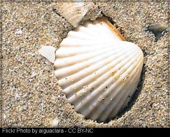 Terry Porter comienza el Camino de Santiago en Sarria rumbo a Portomarín.