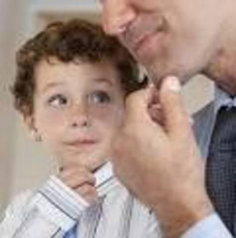 Cognitive Development - Thirteen to Fifteen Months of Age