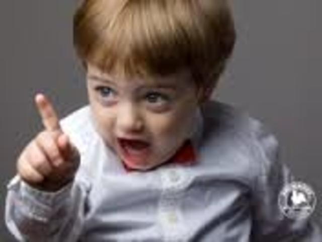 cognitive development