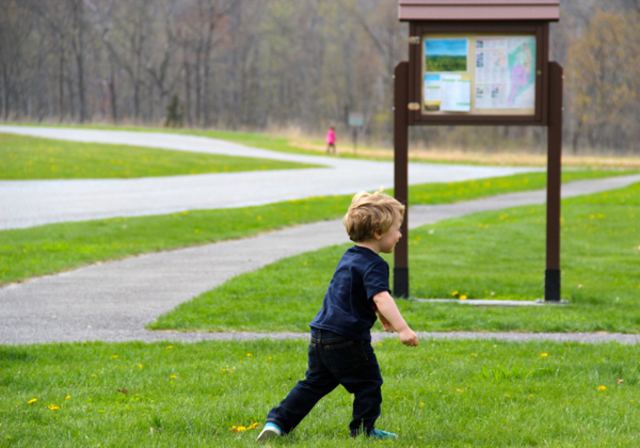 24-30 months- Physical