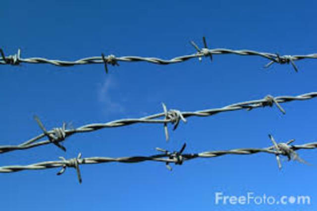 Barbed wire