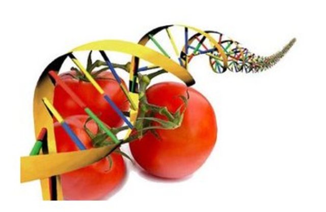 Ciencia de los Alimentos