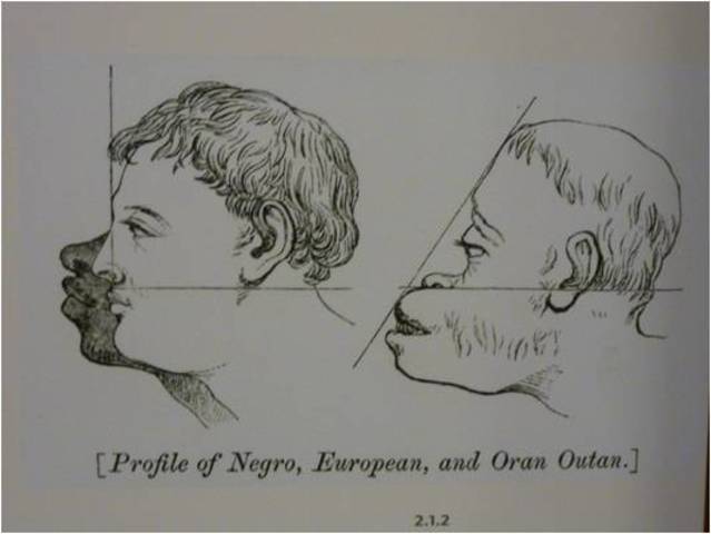 Segle XIX. Racisme científic