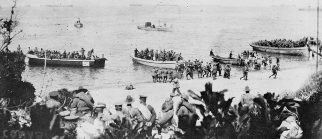 Allied troops landed in Gallipoli