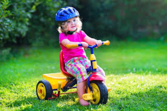 Cognitive: toddler from 19 to 21 months