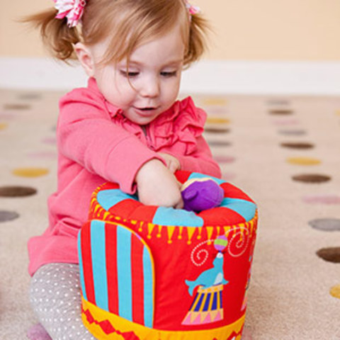 Physical Dev. 24-30 months