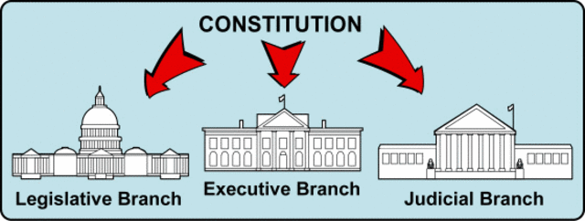 The three branches