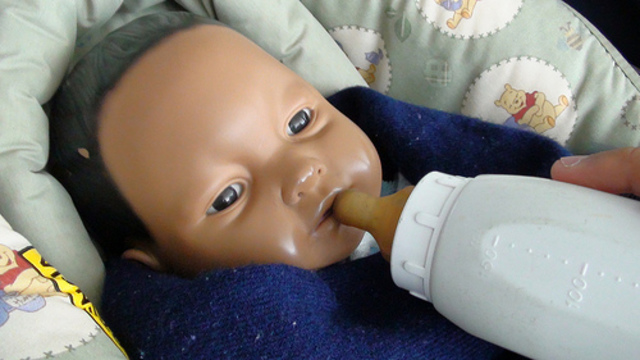 Dia de los bebes electronicos