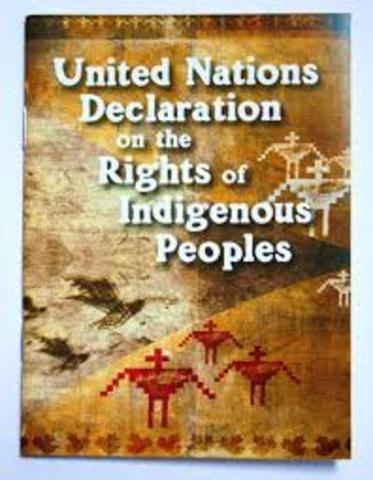 decleration of aboriginal people