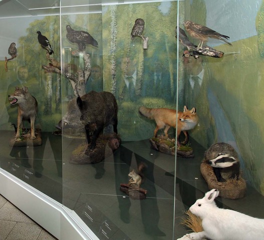 поход в музей