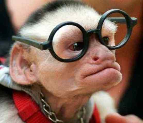 I started highschool