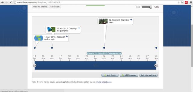 Create timeline and plan our activity