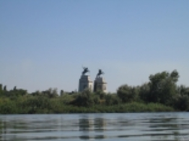 Донские казаки