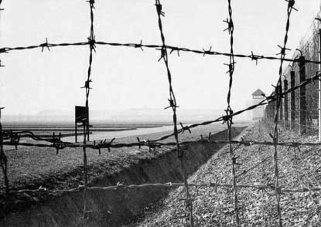 Liesel Vs. The potato farmer