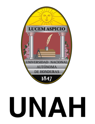 fundación de universidad