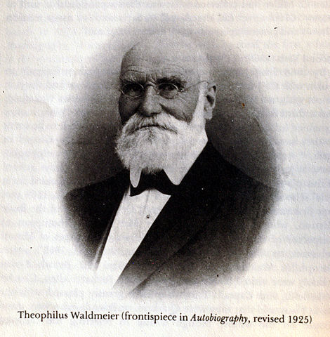 Theophilus Waldmeier en 1888 propuso el nombre de Cromosomas.