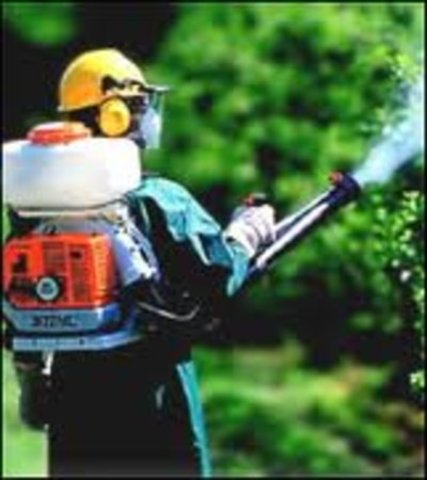 Autoridades sanitarias