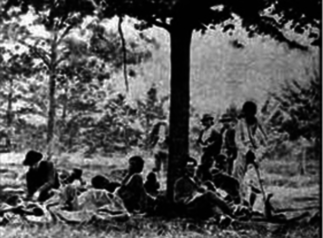 THE Cherokee, Creek, Choctaw, Chickasaw, and Seminole tribes were the only Indian tribes who took an active part in the civil war.