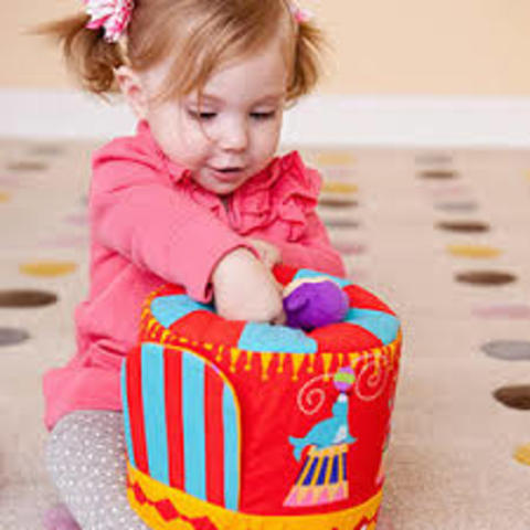 Cognitive development of 24-30 month olds