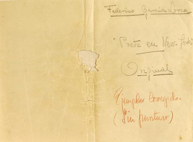 Publica Poeta en Nueva York