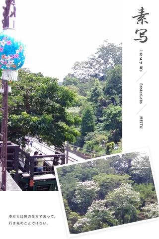 勝興車站老街~賞桐花