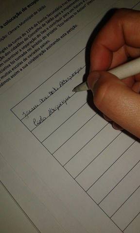 Creating flyers and starting collecting signatures