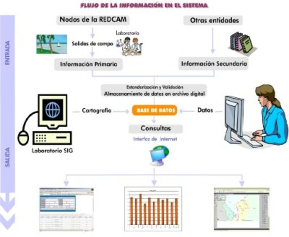 6.	Crear plataforma electrónica que permita a la institución estar conectado con otros centros educativos.