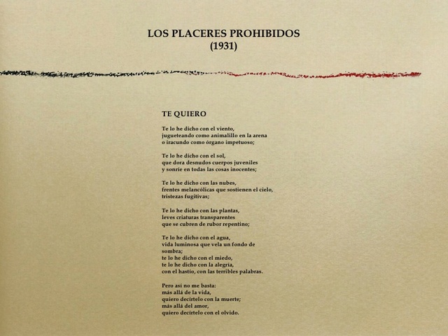 Publica "Los placeres prohibidos"