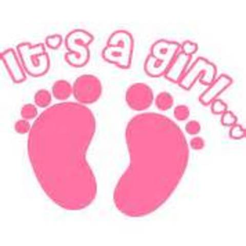 Harriet Beecher Stowe Born