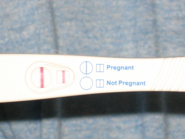 Find out we are pregnant