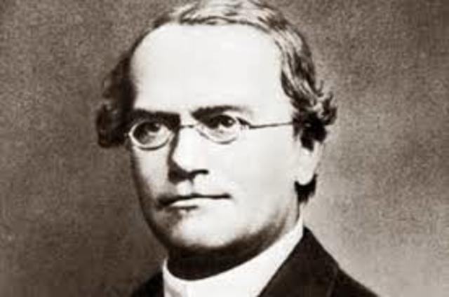 Gregorio Mendel