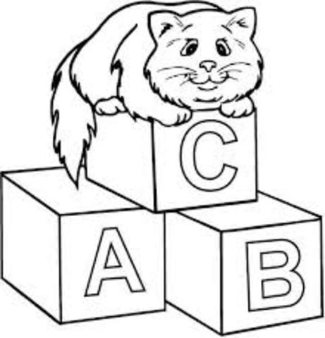 ELECCION DE PRODUCTOS FINALES