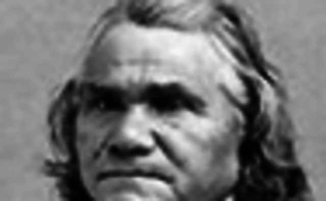 Stand Watie was a leader of the Cherokee Nation and a brigadier general of the Confederate States Army during the American Civil War